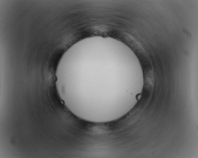 X0000116820468200912312019