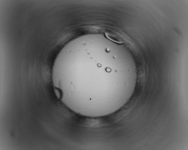 X0000116820469200912312019