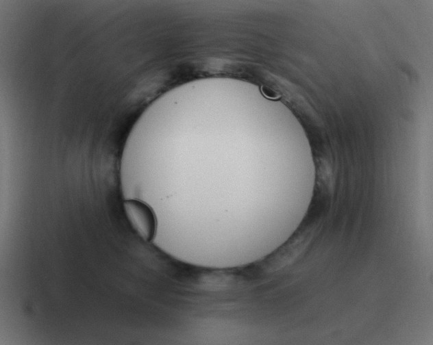 X0000116820470200912312019