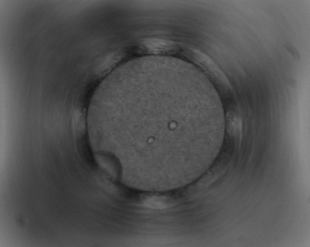 X0000116820471200912312019