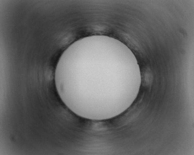 X0000116820472200912312019