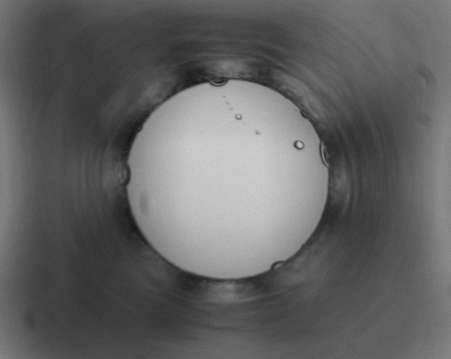 X0000116820473200912312019