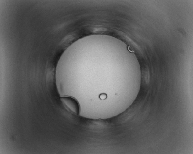 X0000116820475200912312019