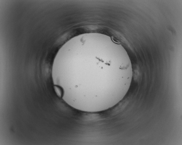 X0000116820476200912312019