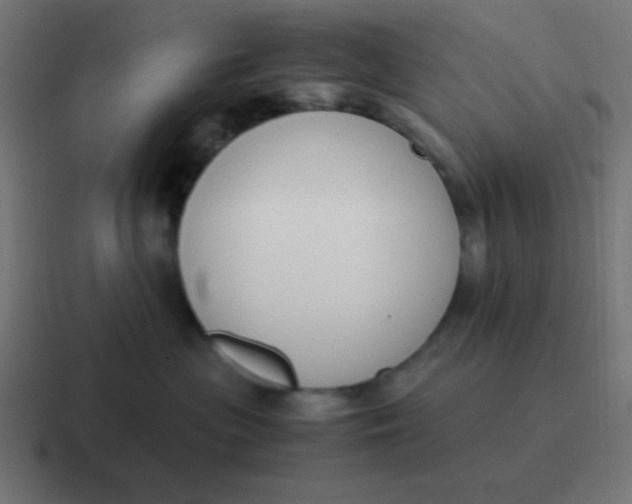 X0000116820477200912312019