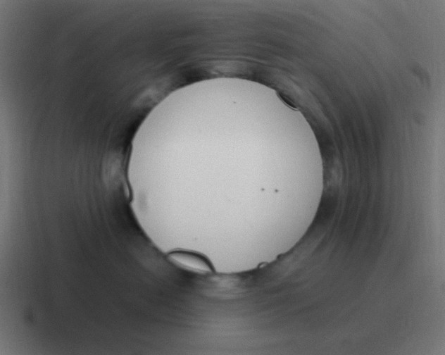 X0000116820478200912312019