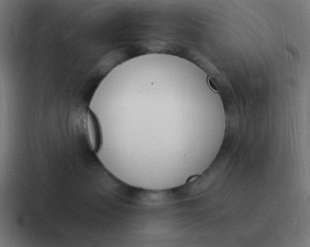 X0000116820479200912312019