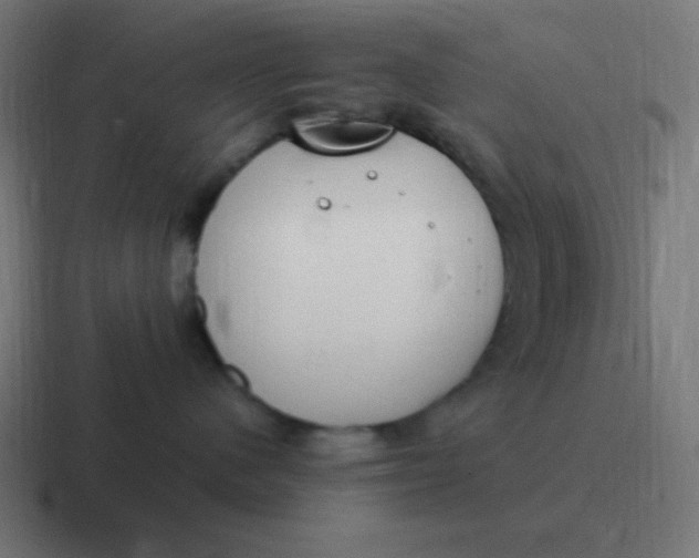 X0000116820480200912312019