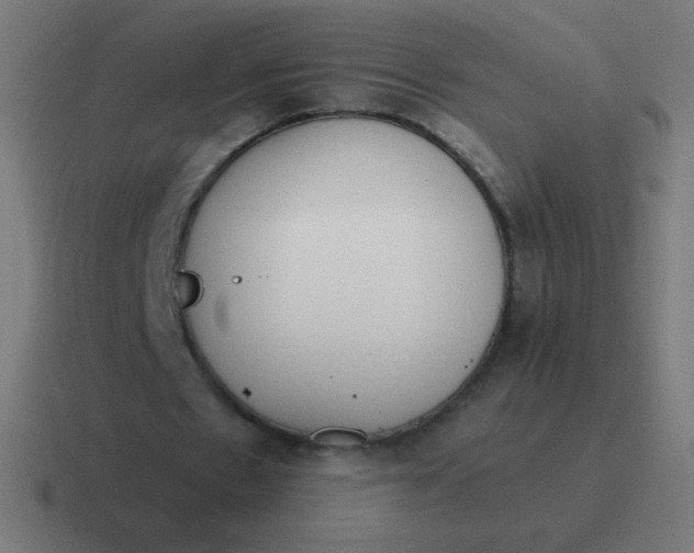 X0000116820481200912312018