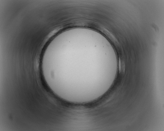 X0000116820483200912312018