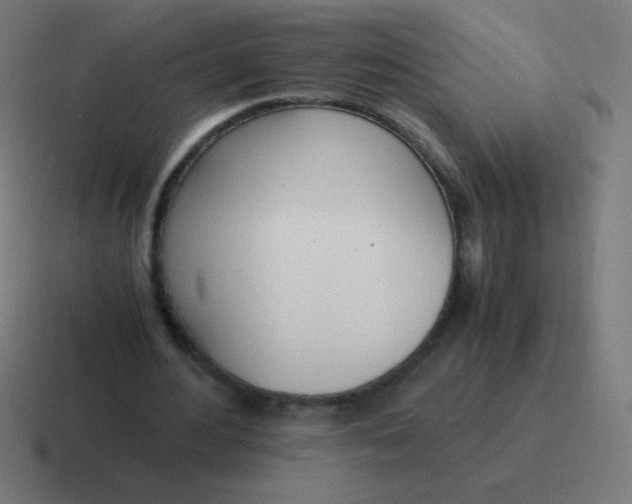 X0000116820484200912312018