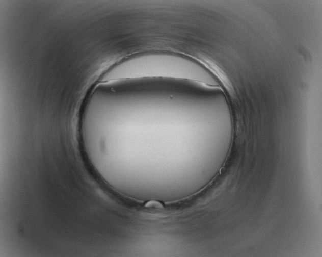 X0000116820485200912312018