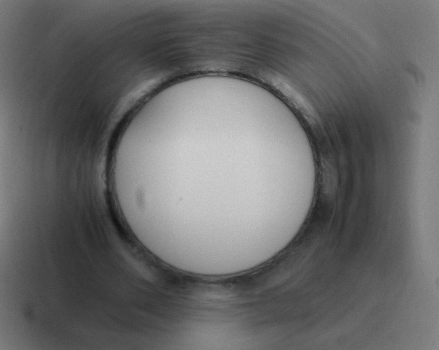 X0000116820486200912312018