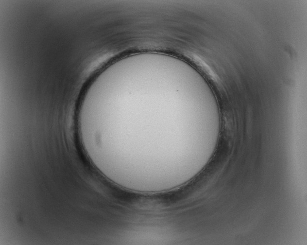 X0000116820487200912312018