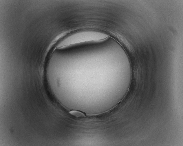 X0000116820488200912312018