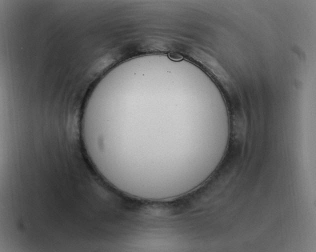 X0000116820489200912312018