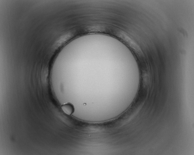 X0000116820490200912312018