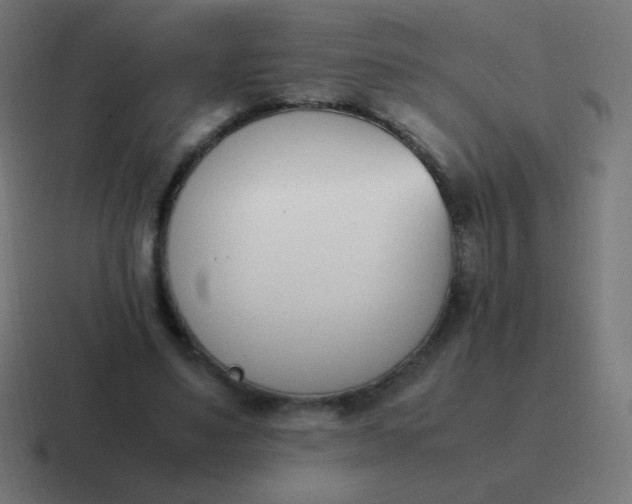 X0000116820491200912312018