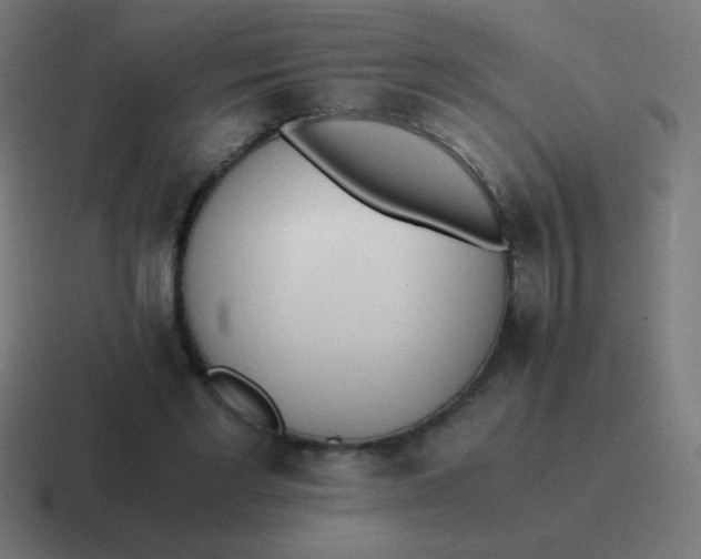 X0000116820493200912312018