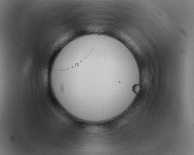 X0000116820494200912312018