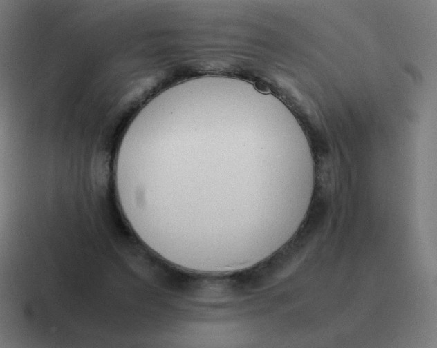 X0000116820495200912312018