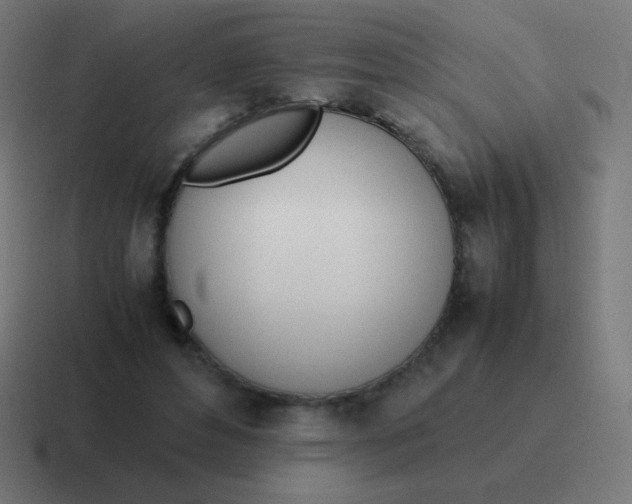 X0000116820496200912312018