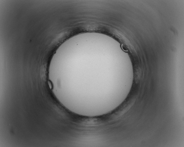 X0000116820497200912312018