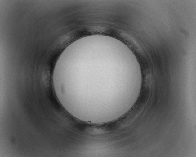 X0000116820498200912312018