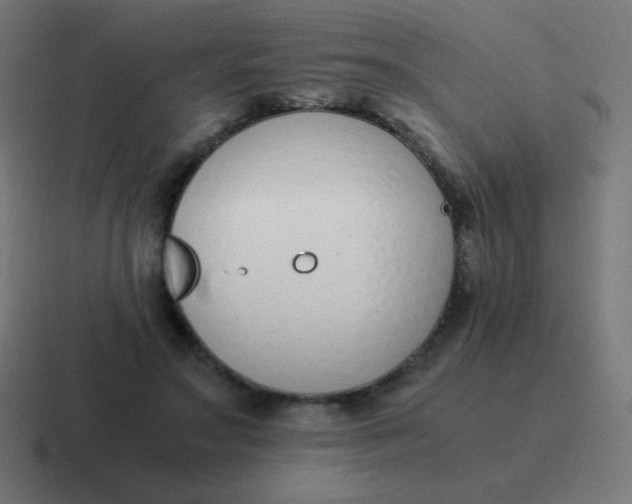 X0000116820499200912312018