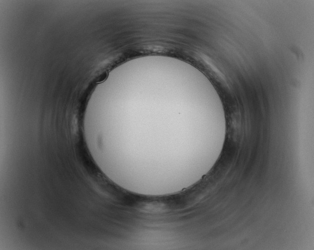 X0000116820500200912312018