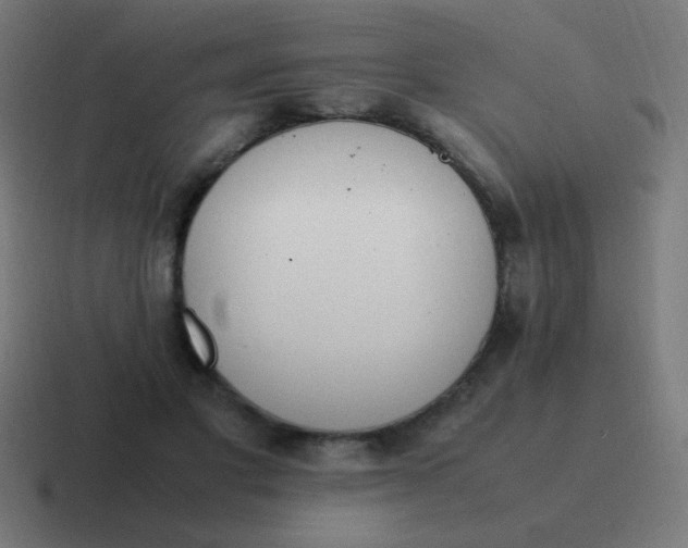 X0000116820501200912312018