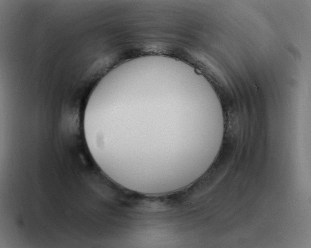 X0000116820502200912312018