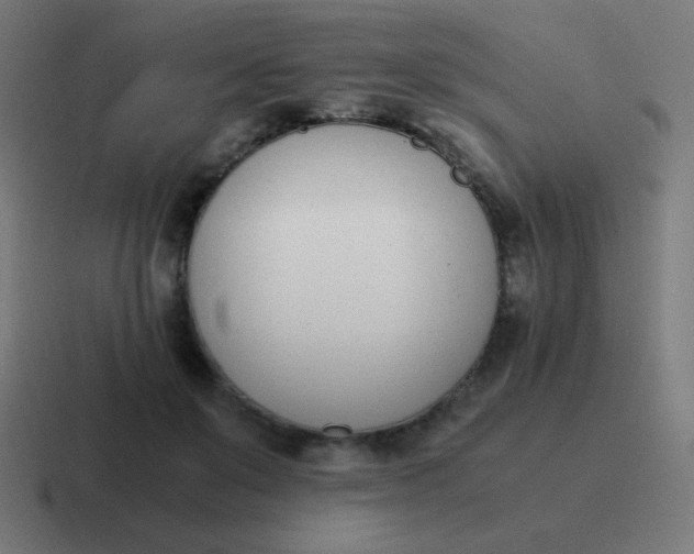 X0000116820503200912312018