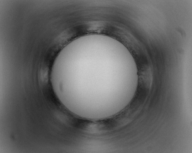 X0000116820504200912312018