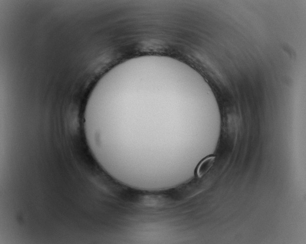 X0000116820508200912312018