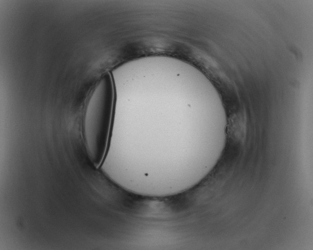 X0000116820509200912312018