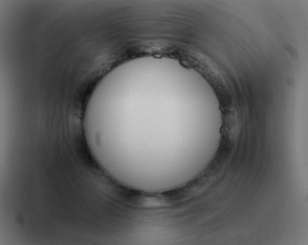 X0000116820510200912312018