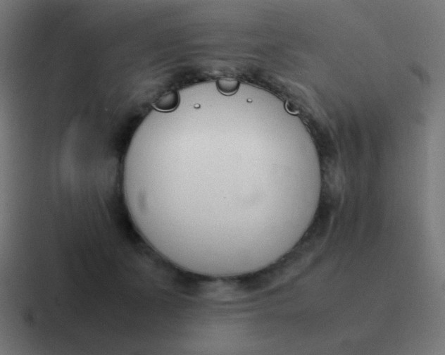 X0000116820511200912312018