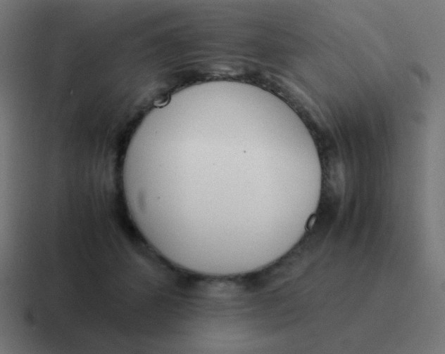 X0000116820512200912312018