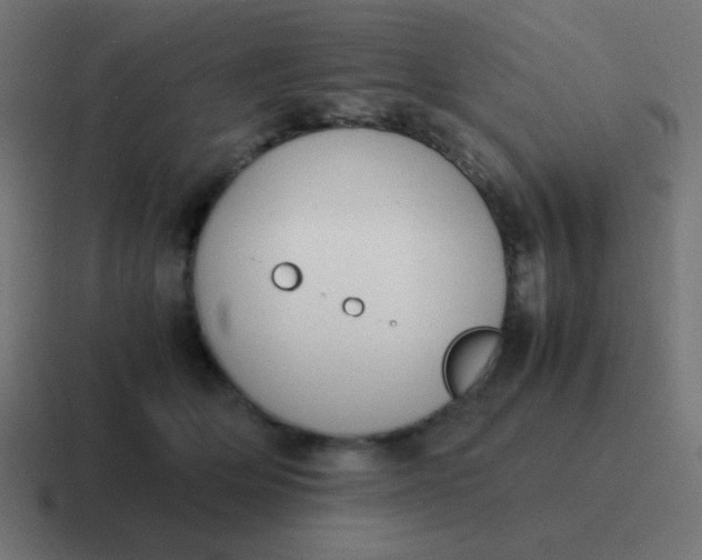 X0000116820514200912312018