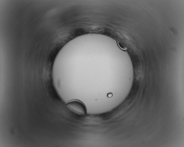 X0000116820515200912312018