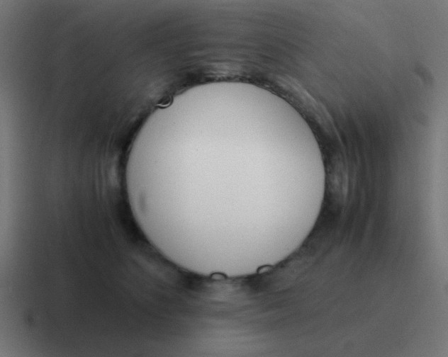 X0000116820516200912312018