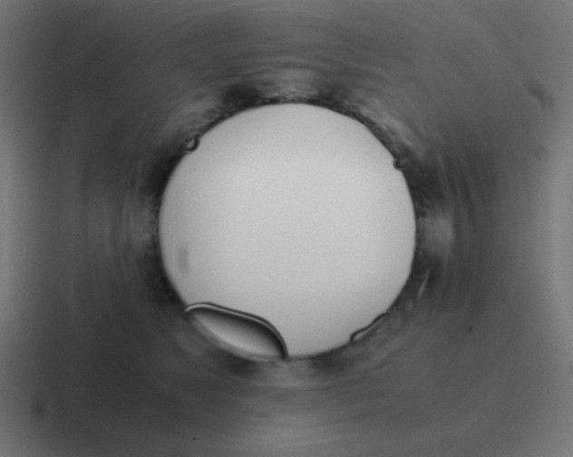 X0000116820517200912312018