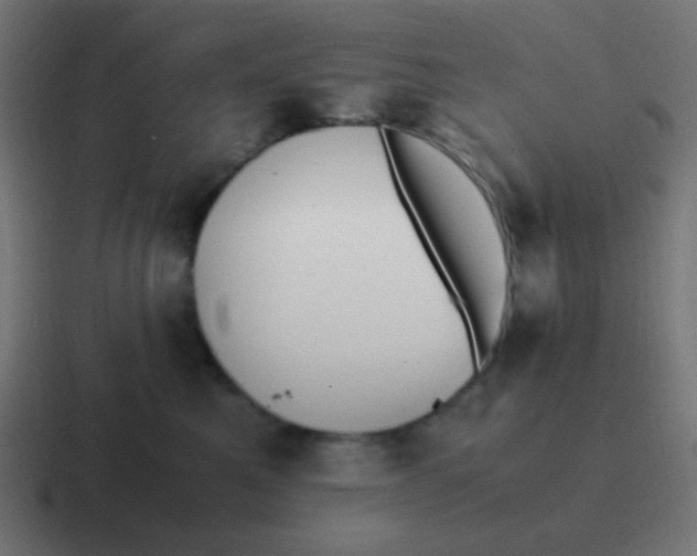 X0000116820521200912312018