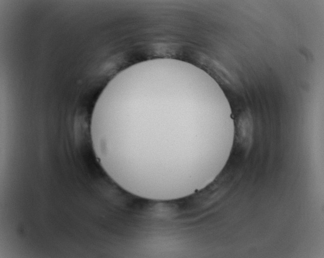 X0000116820522200912312018