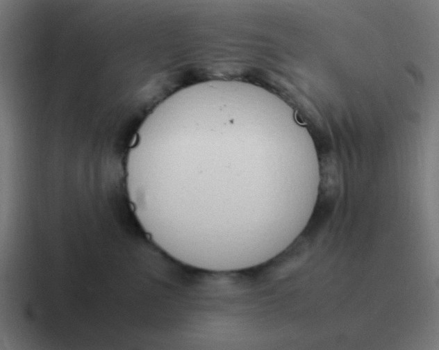 X0000116820523200912312018