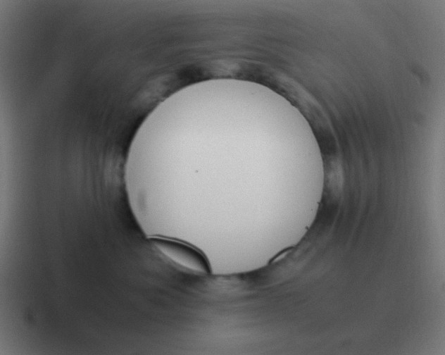 X0000116820525200912312018