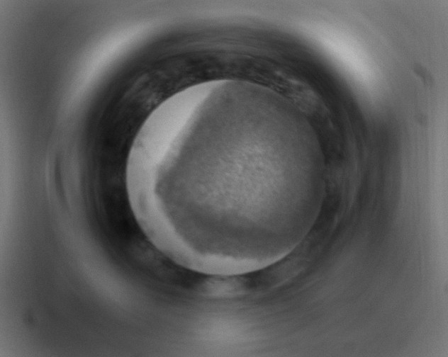 X0000116820526200912312018