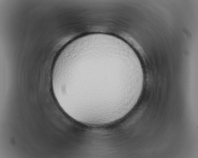 X0000116820529200912312017