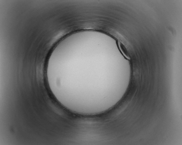 X0000116820530200912312017